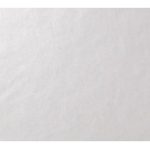 Casalgrande Padana Architecture Gloss White 10,5